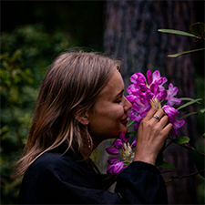 Komandas biedra foto